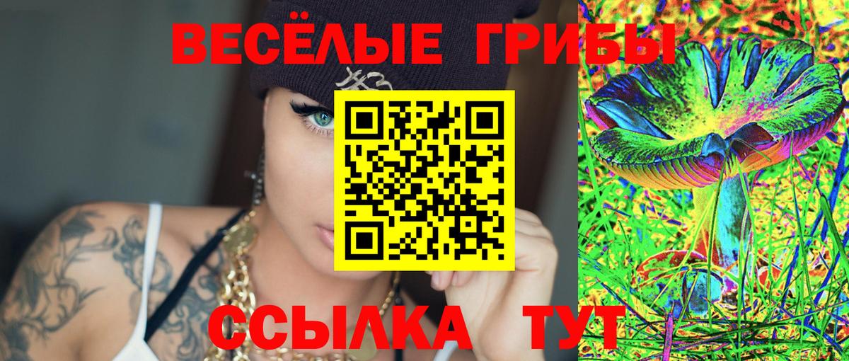 Подольск  Галлюциногенные грибы ЛСД  Вход с VPN  Псилоцибиновые грибы GOLDEN TEACHER 